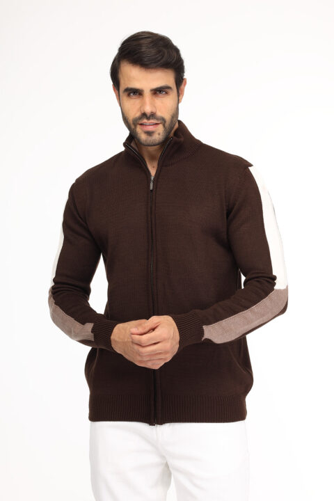 Regular Fit Pullover Brown