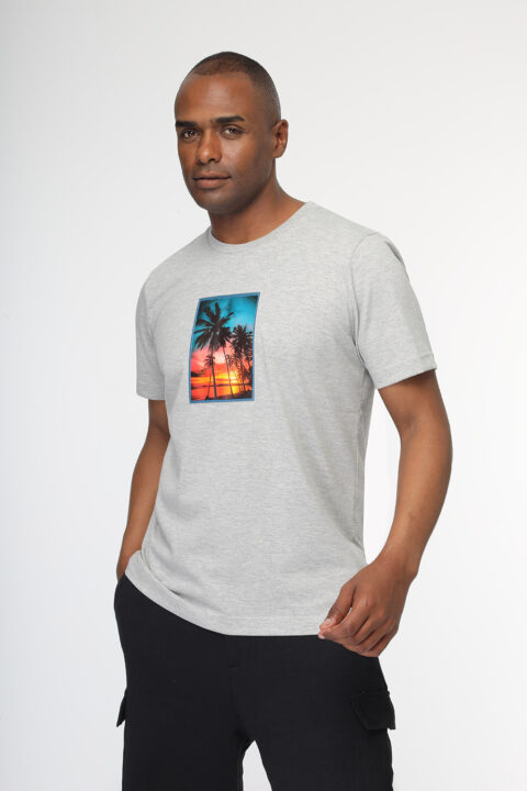 Regular Fit T- Shirt Gray