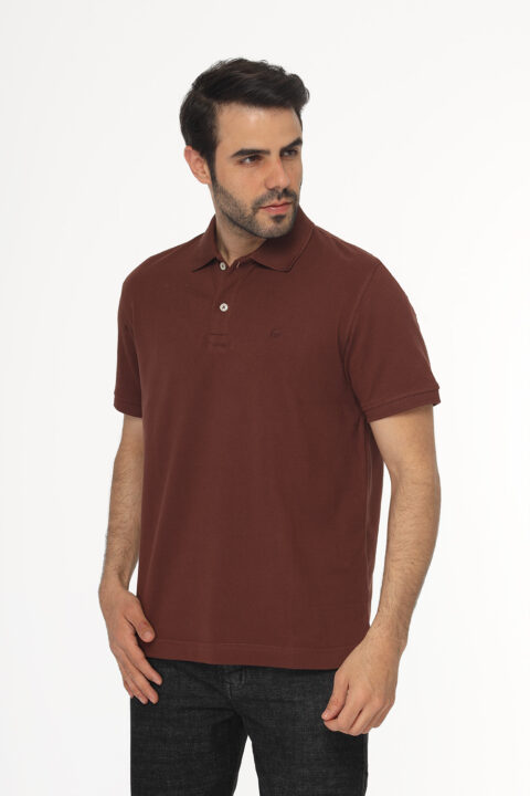 Regular Fit Polo Shirt Brown - Image 3