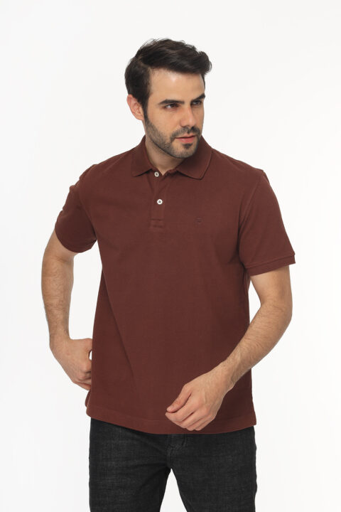 Regular Fit Polo Shirt Brown