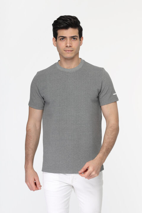 Regular Fit T- Shirt Gray